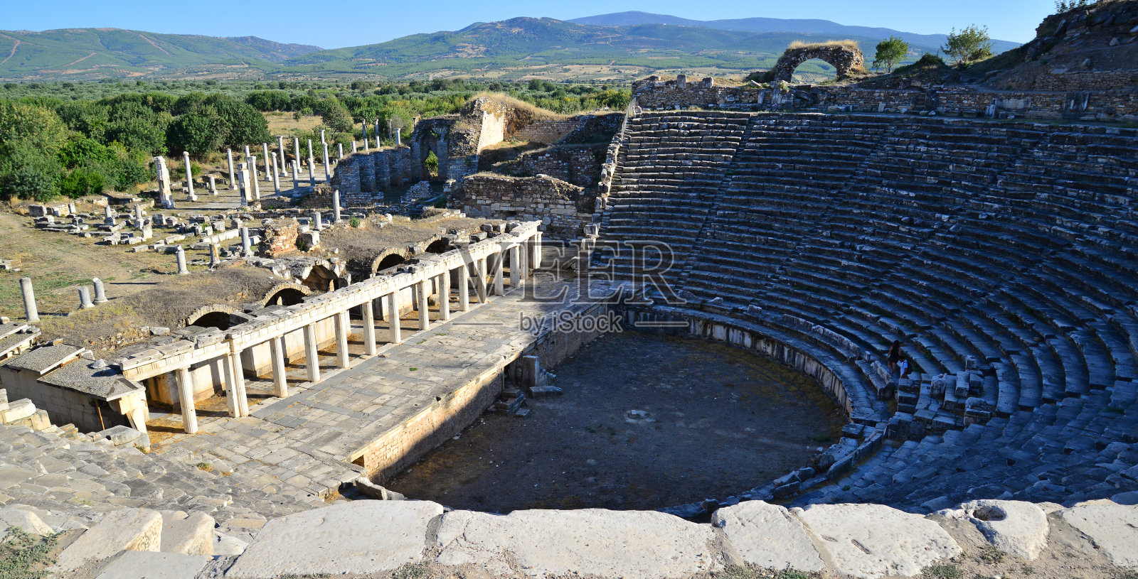 春药照片摄影图片