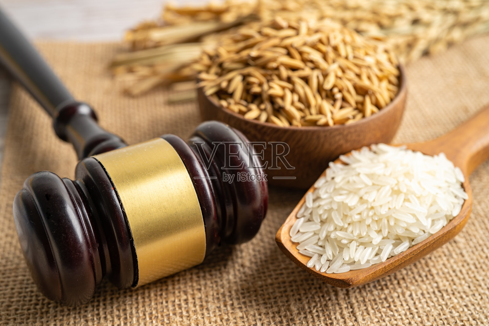裁判木槌与农业农场的好谷物大米。法律和司法法庭概念。照片摄影图片