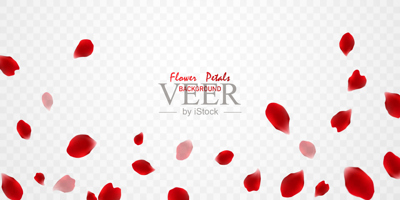 华丽的红玫瑰花瓣背景虚拟矢量插图插画图片素材