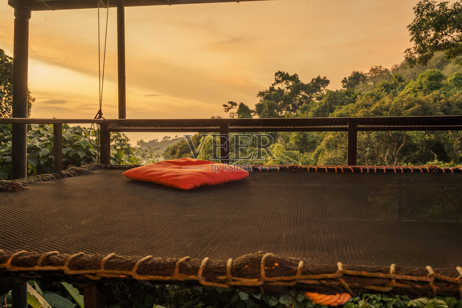 森林里的吊床照片摄影图片