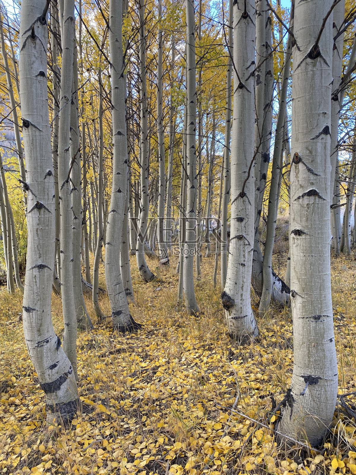 在高山上坠落照片摄影图片