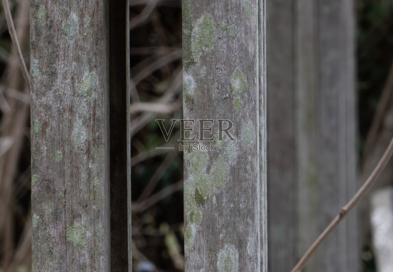 公园里的木条照片摄影图片