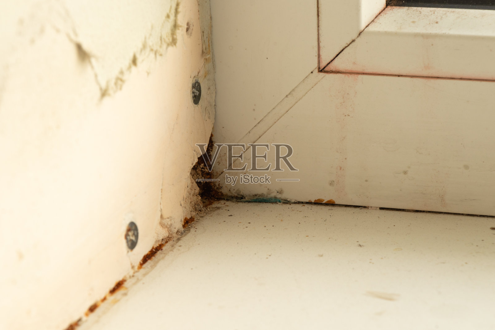 斜坡上有一扇突出真菌的窗户照片摄影图片