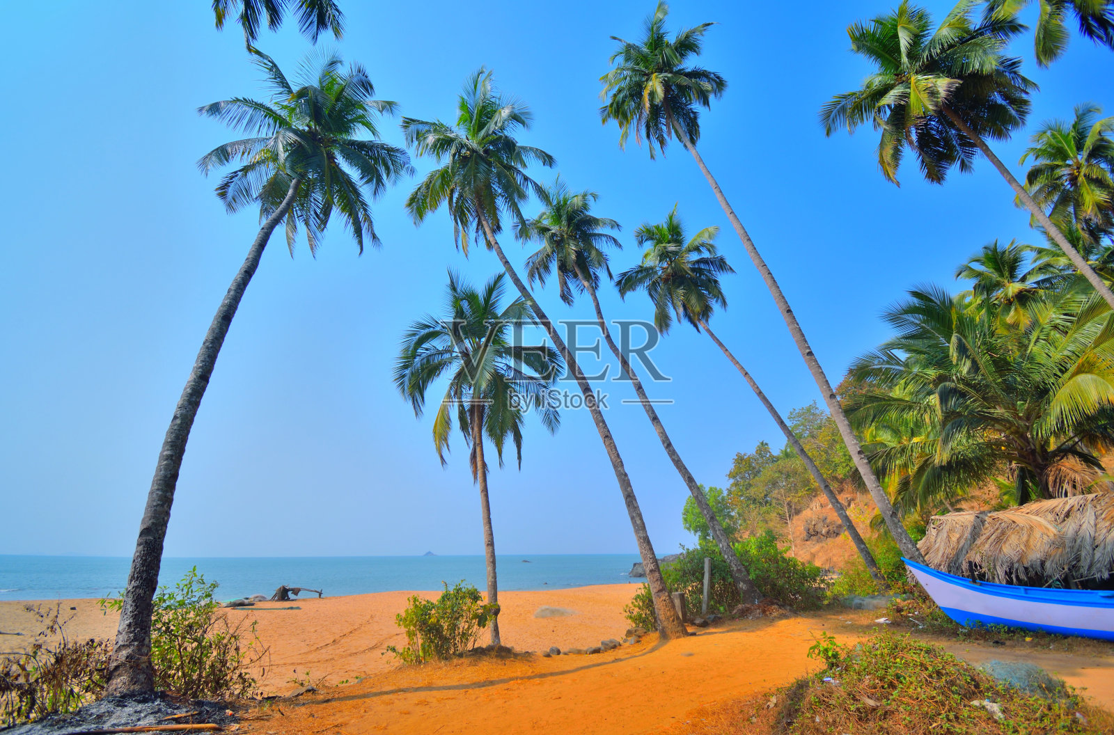 俯瞰果阿邦波伦海滩的高大椰子树。照片摄影图片
