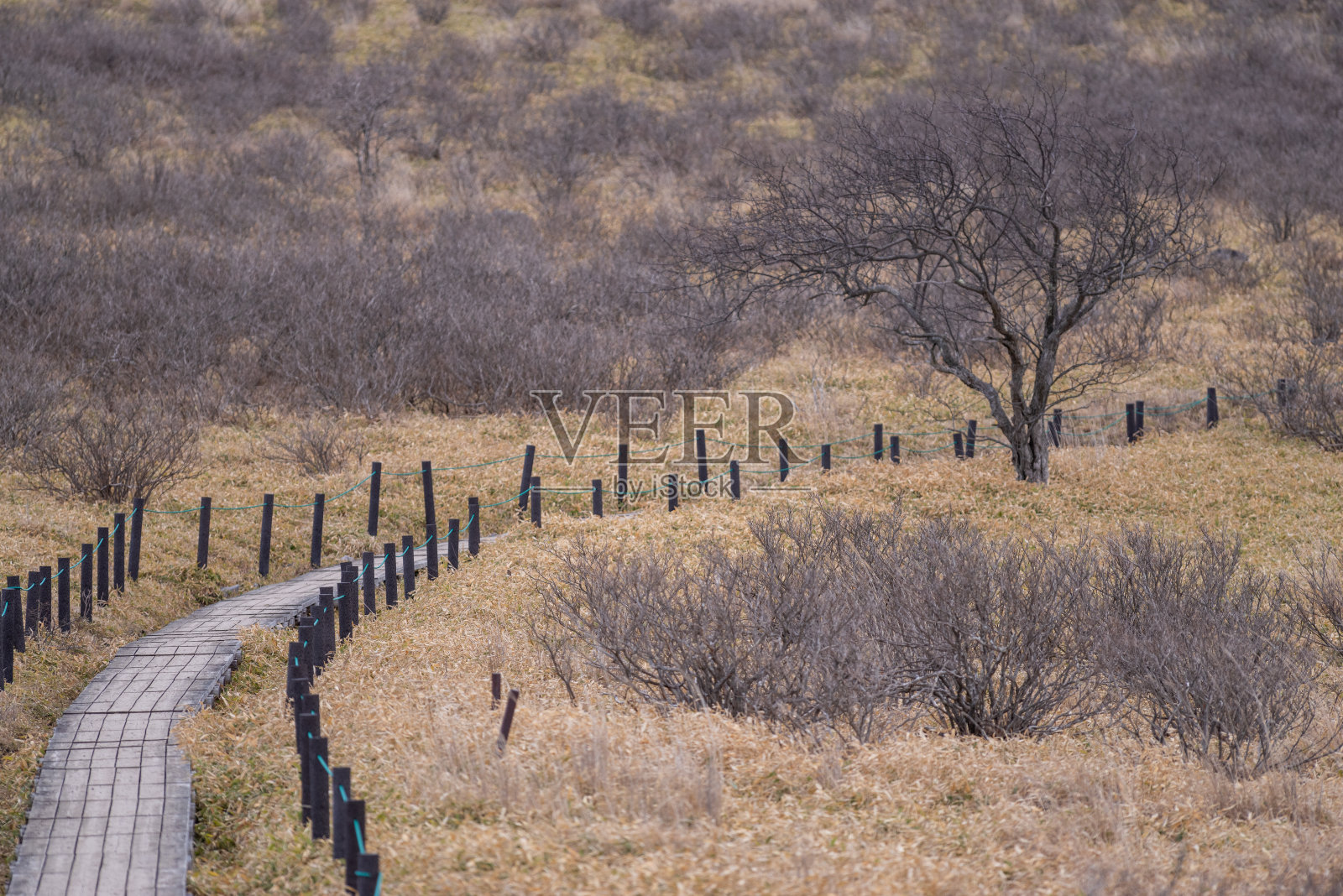 基里加明高原步道照片摄影图片
