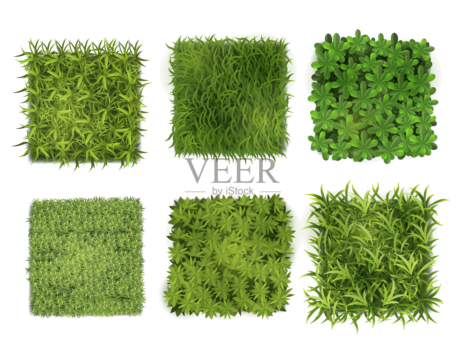 逼真详细的3d绿色地被植物设置。向量插画图片素材