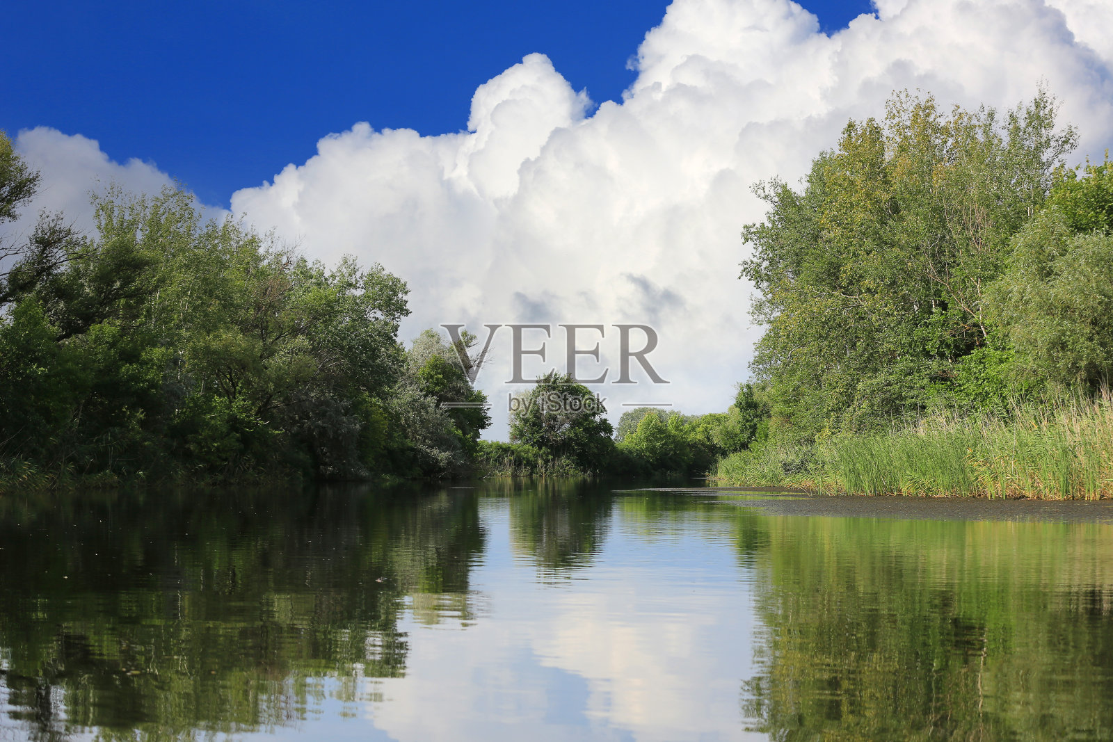 夏日在小河上照片摄影图片