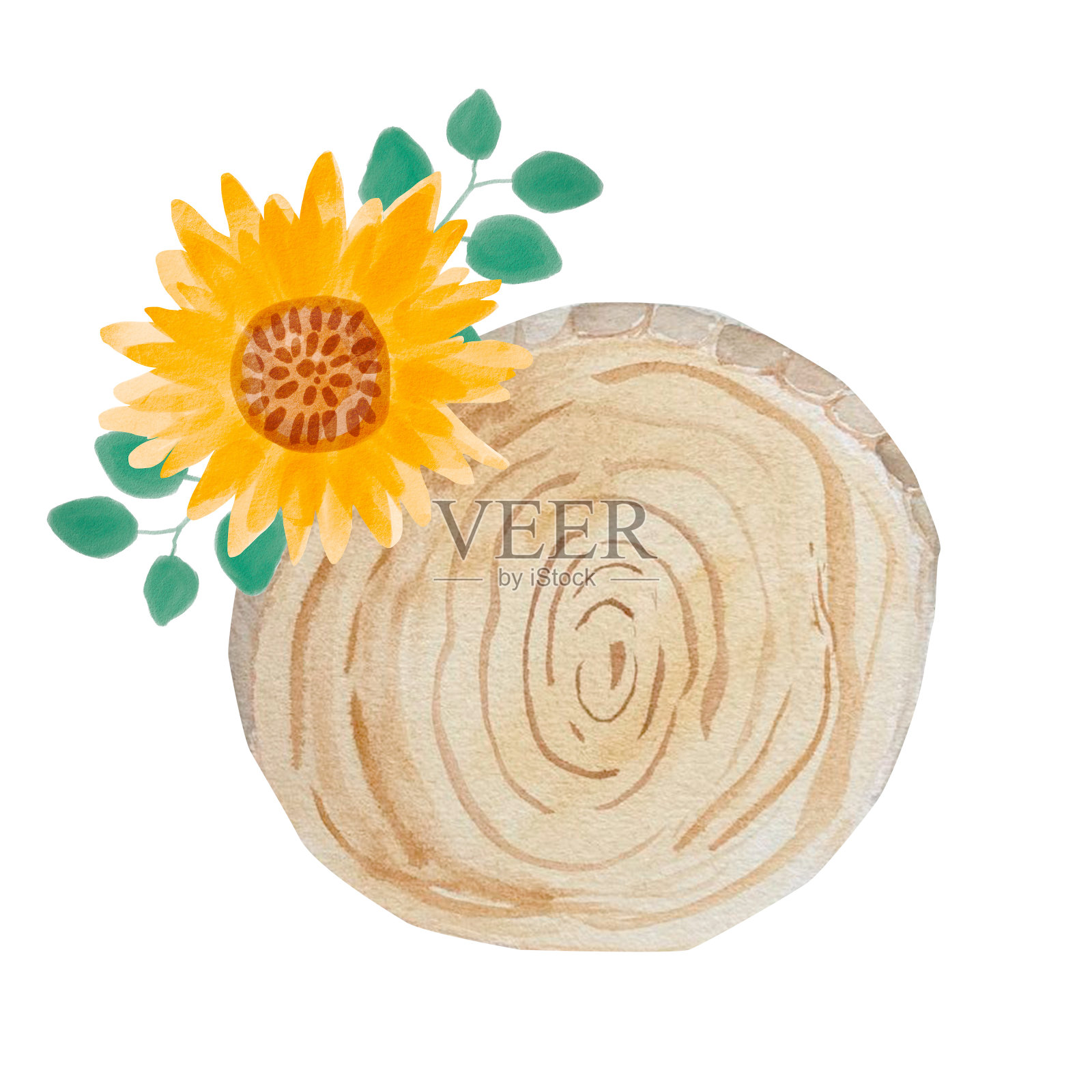 水彩向日葵花木框。黄花花园农家乐边界。手绘水彩插图孤立。秋花感恩秋插画图片素材