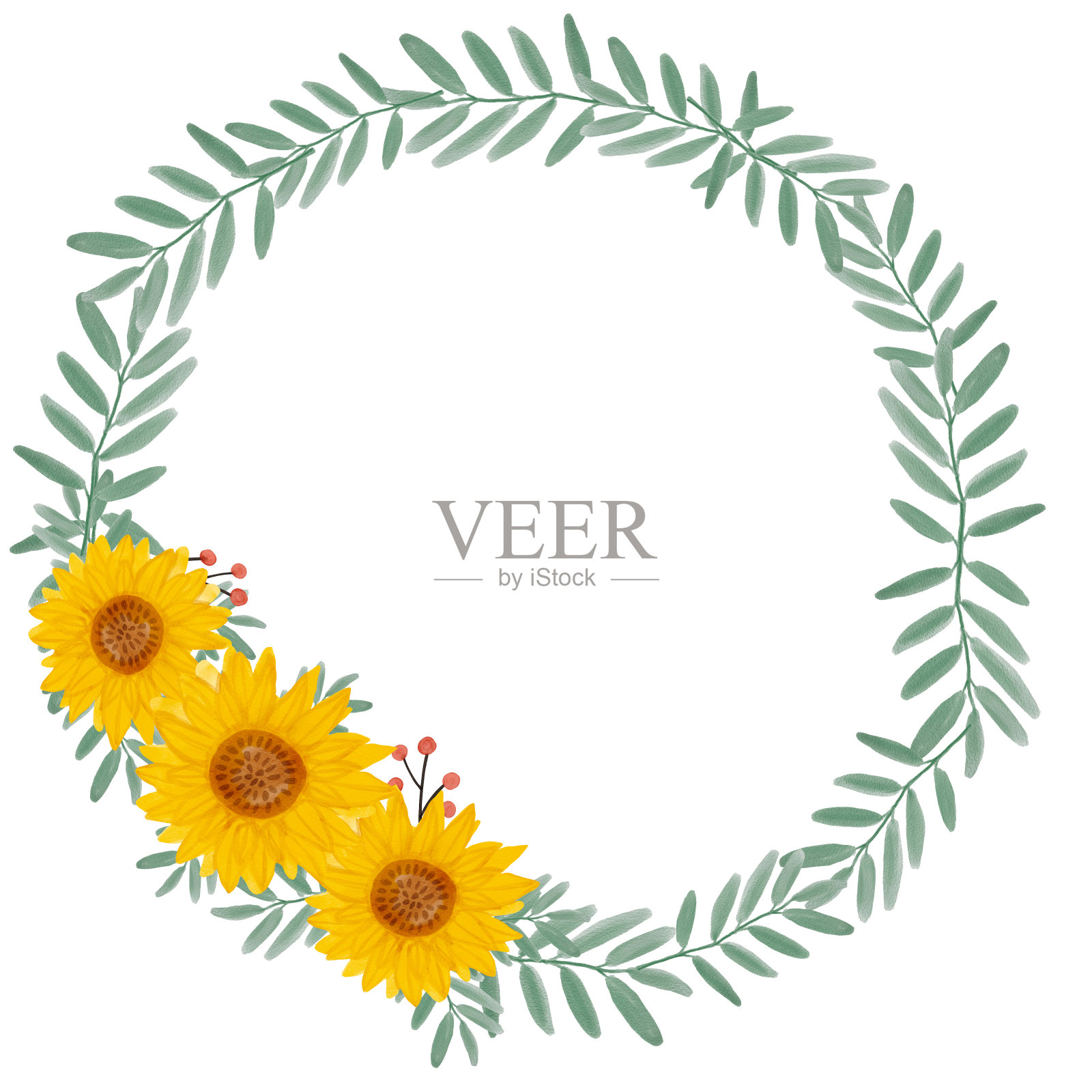 水彩向日葵花环。黄花花园农家乐边界。手绘水彩插图孤立。秋花感恩秋插画图片素材
