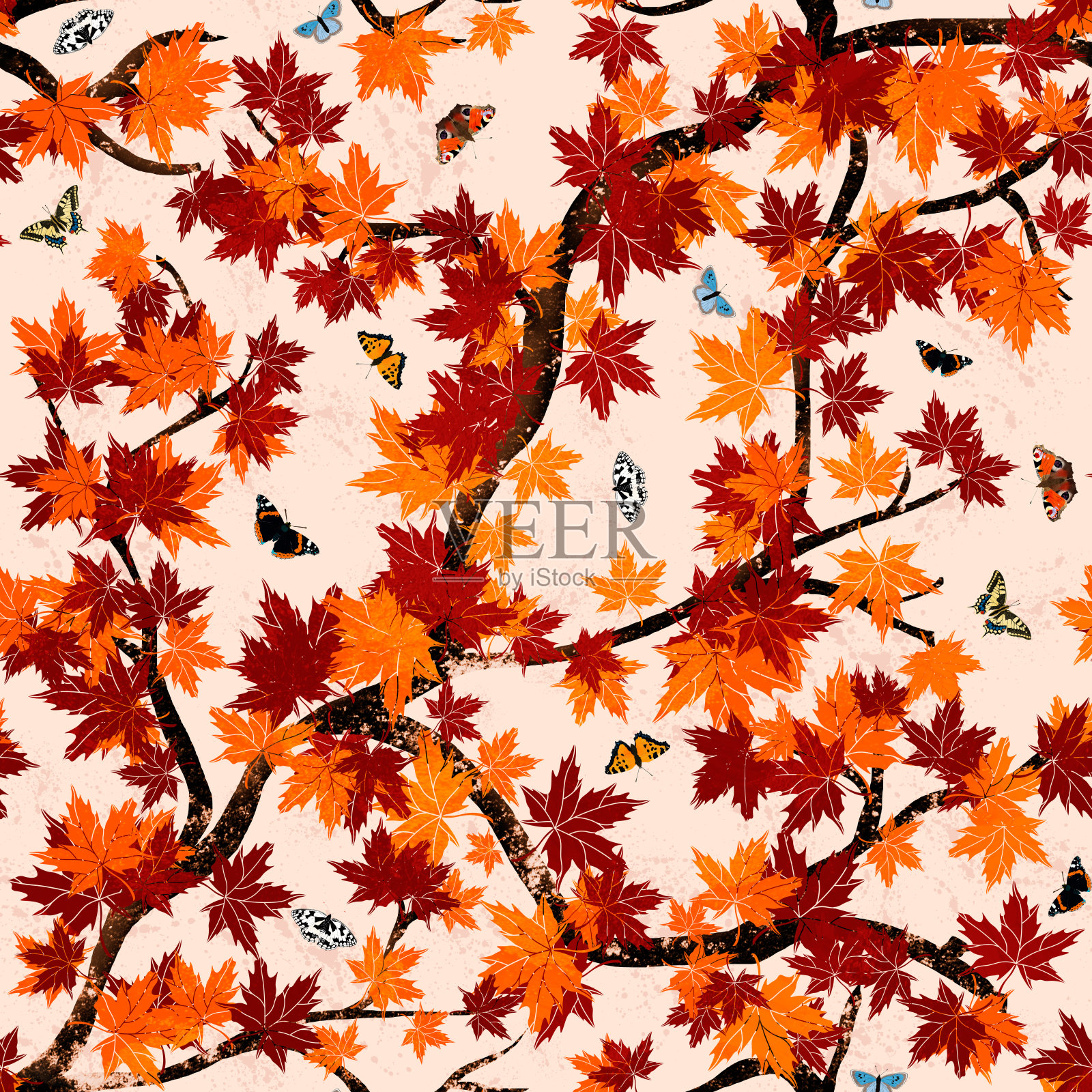 橙蝴蝶树插画图片素材