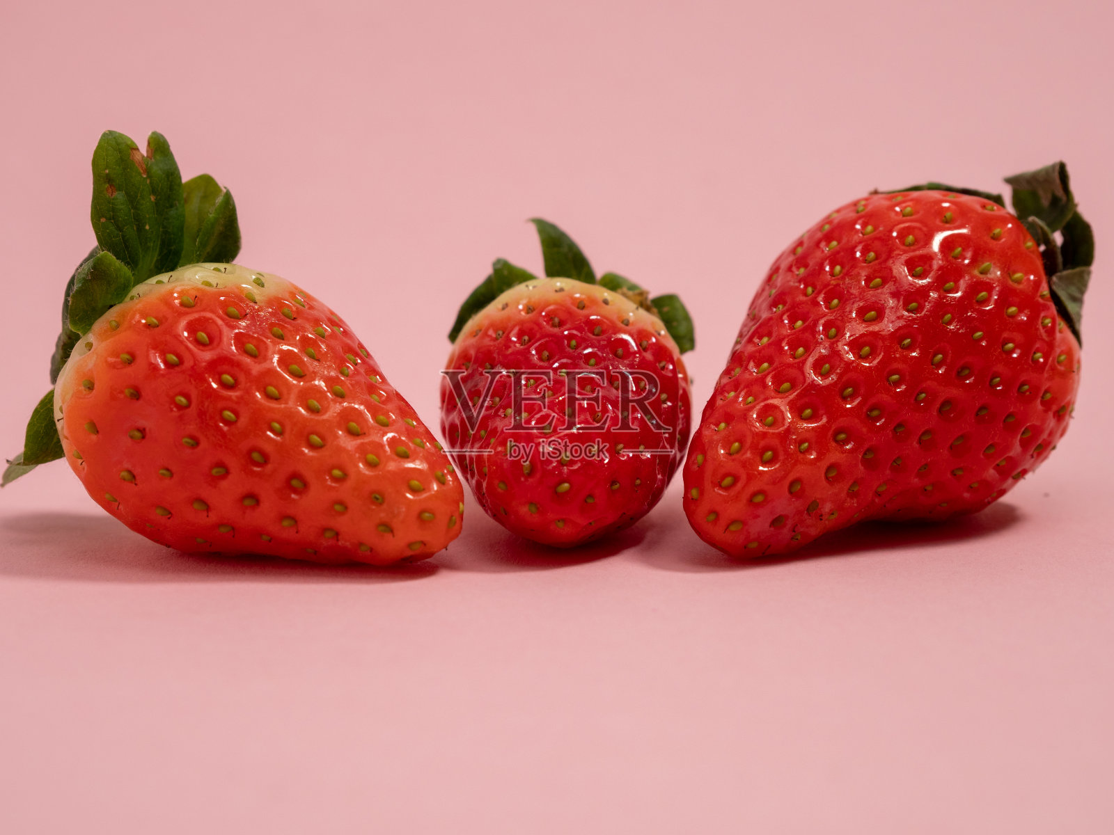 粉红色背景上是成熟的草莓。草莓靠近了。照片摄影图片