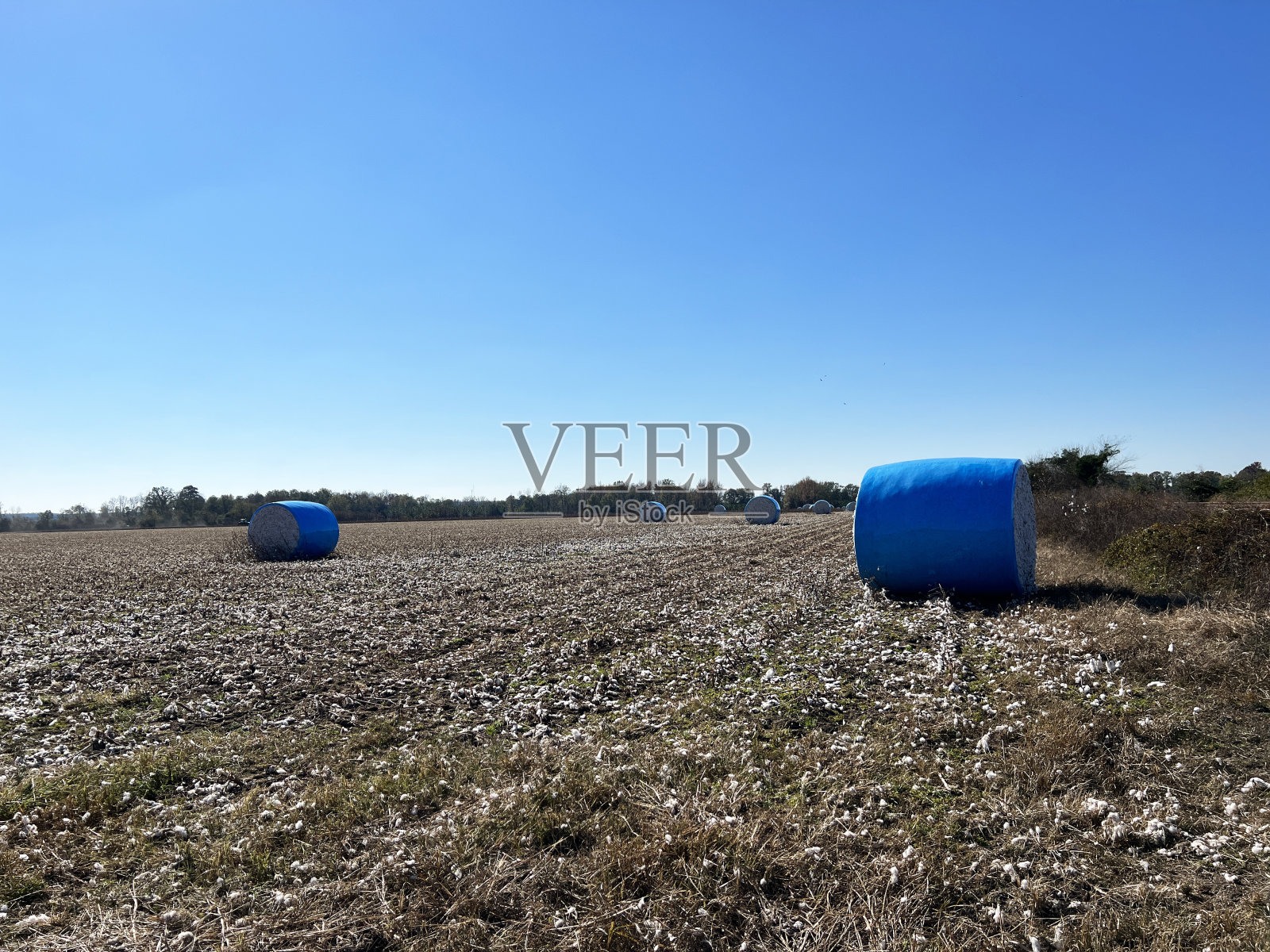 南卡罗来纳的一片塑料包裹的棉包。照片摄影图片