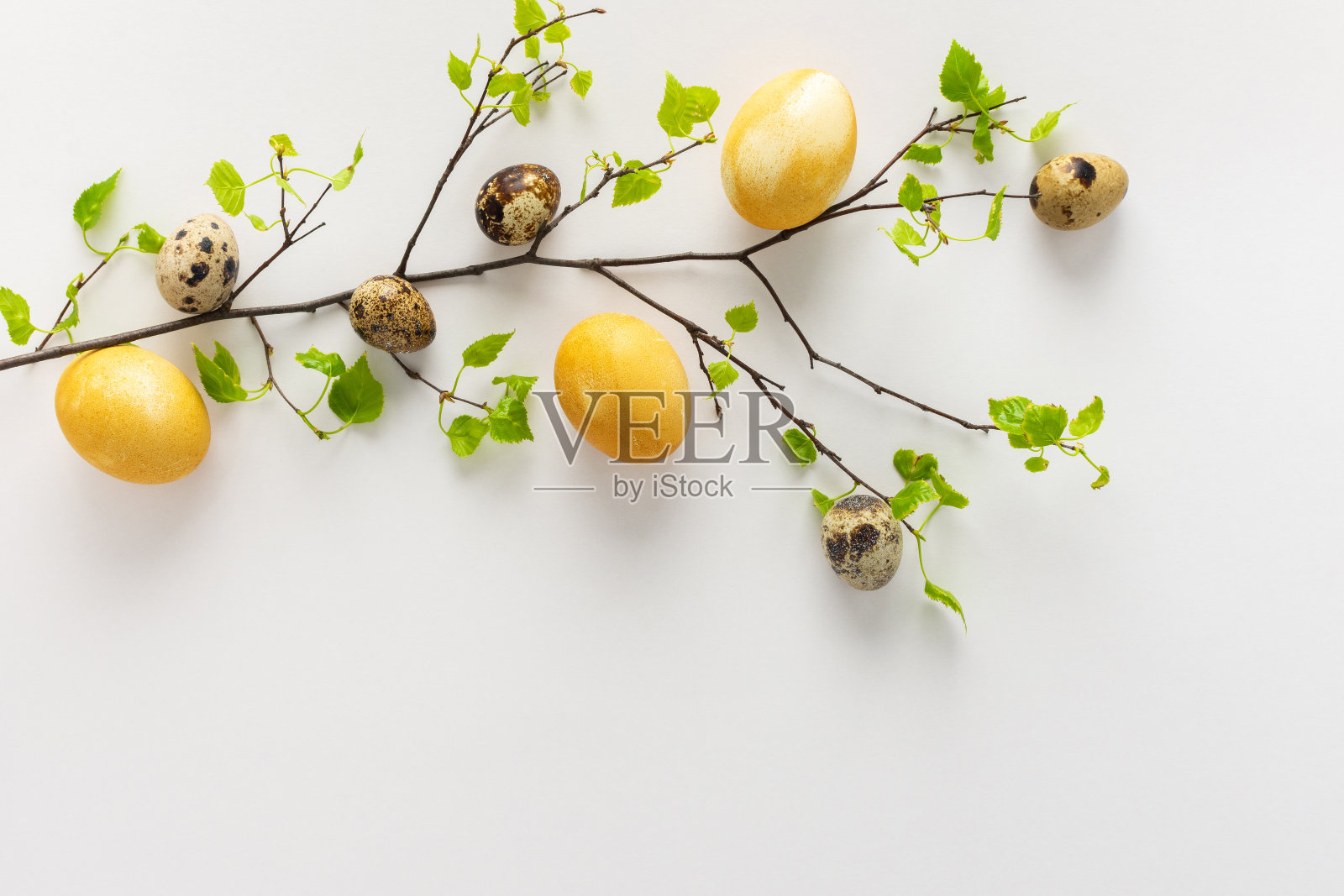 复活节的概念与桦树树枝和鸡蛋照片摄影图片