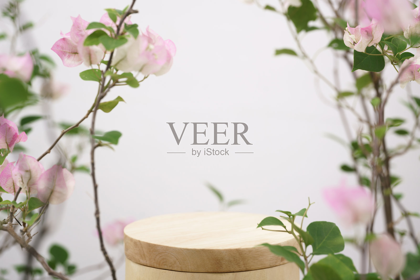 空木讲台上模糊的粉红色花朵装饰在白色的背景与空间。美容化妆品和浪漫的情人节或母亲，寿星女人爱的礼物产品台台台架展示。照片摄影图片