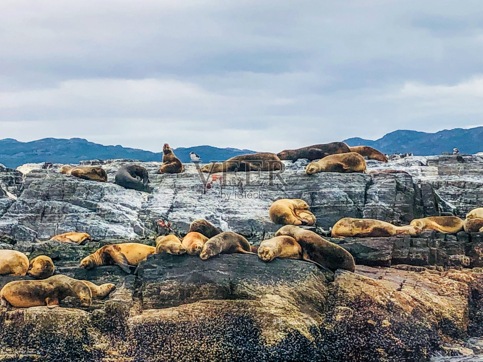 乌斯怀亚参数照片摄影图片