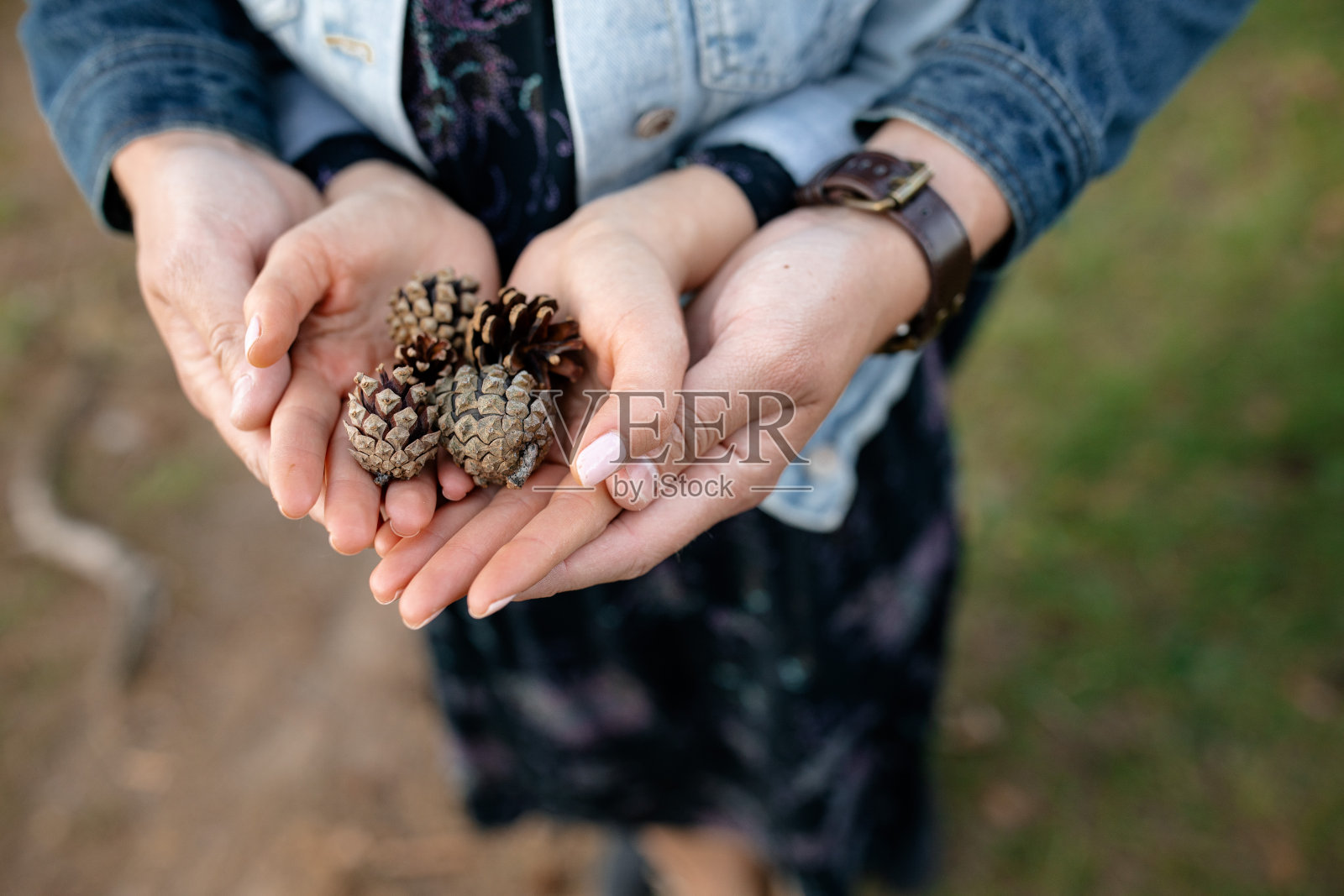 一个女人的手和一个男人的手的特写显示温柔的手势照片摄影图片