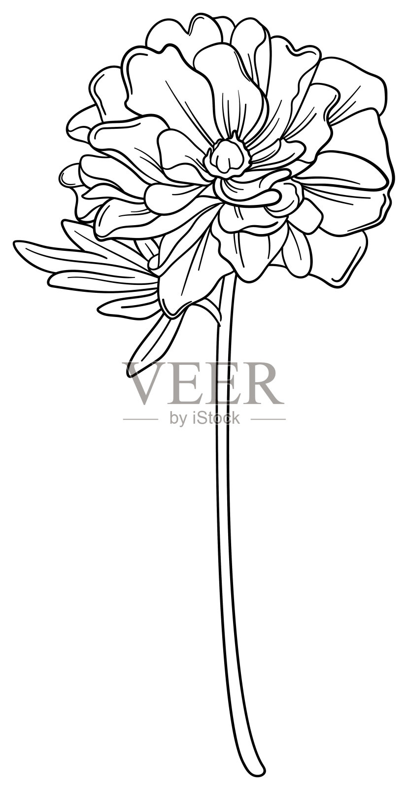 精致的线条艺术单花矢量插画图片素材