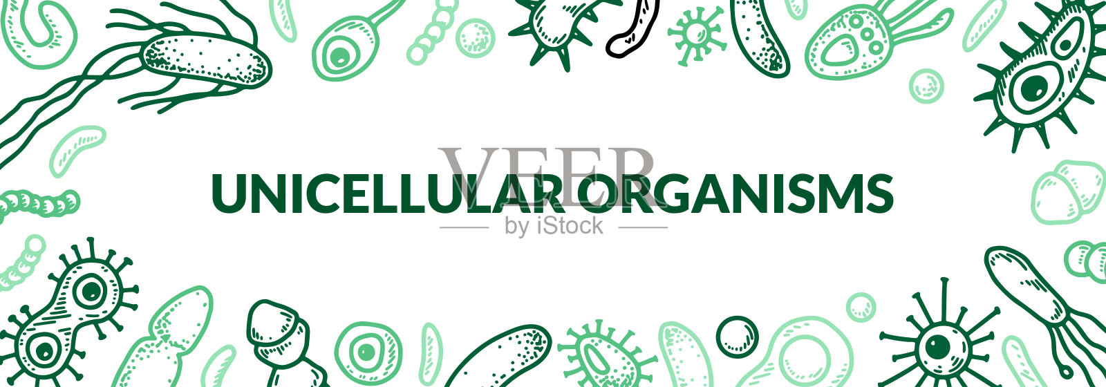 微观单细胞生物设计。科学生物学矢量插图素描风格插画图片素材