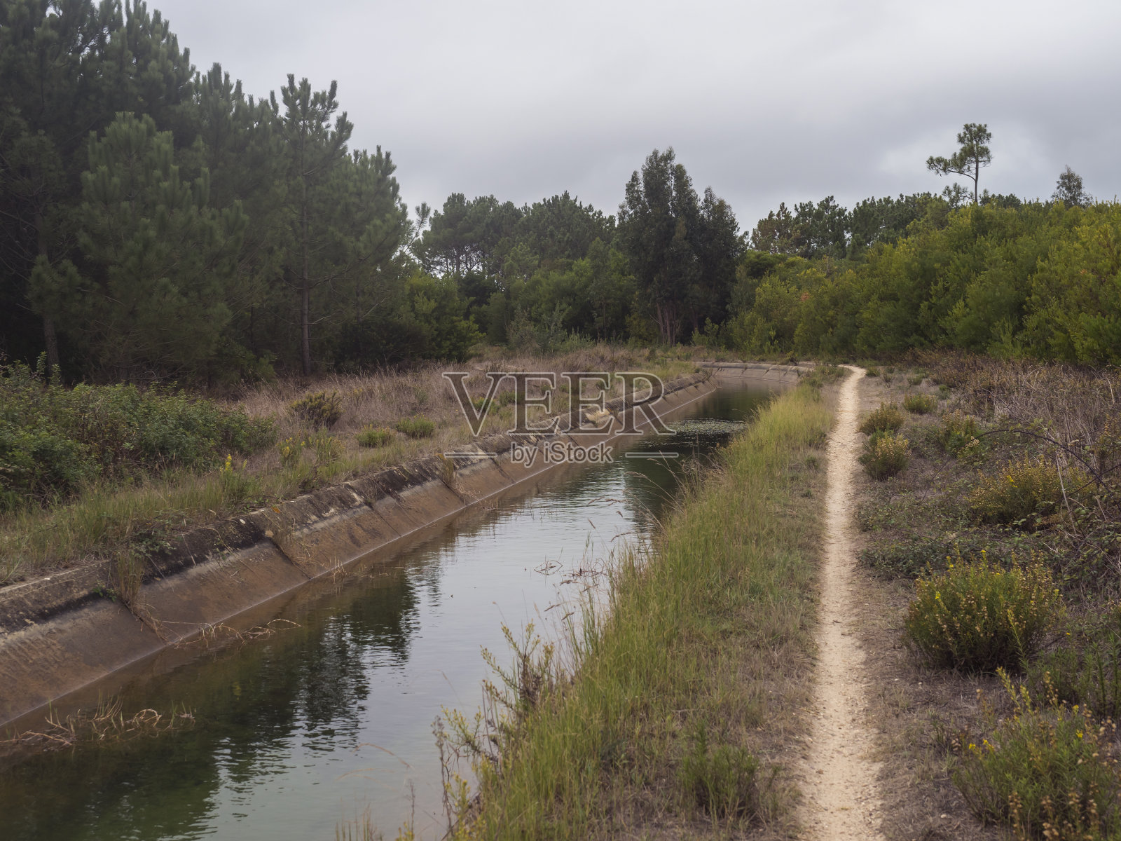 沿着灌溉水渠的Rota Vicentina步道。松树和绿色的灌木丛照片摄影图片