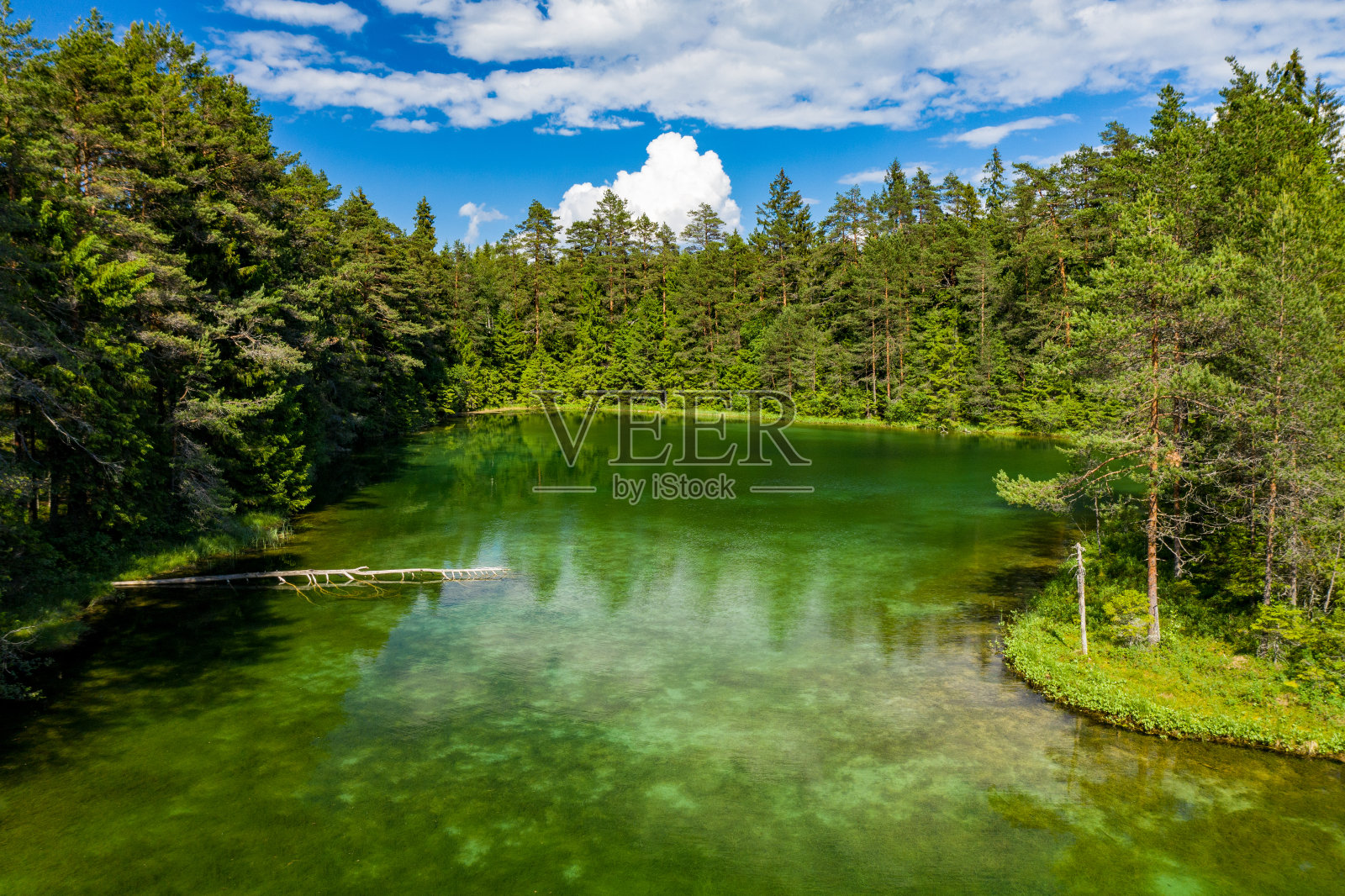 安图蓝泉湖，爱沙尼亚，欧洲。自流井，干净的饮用水从地下喷涌而出。纯净水，自然环境照片摄影图片