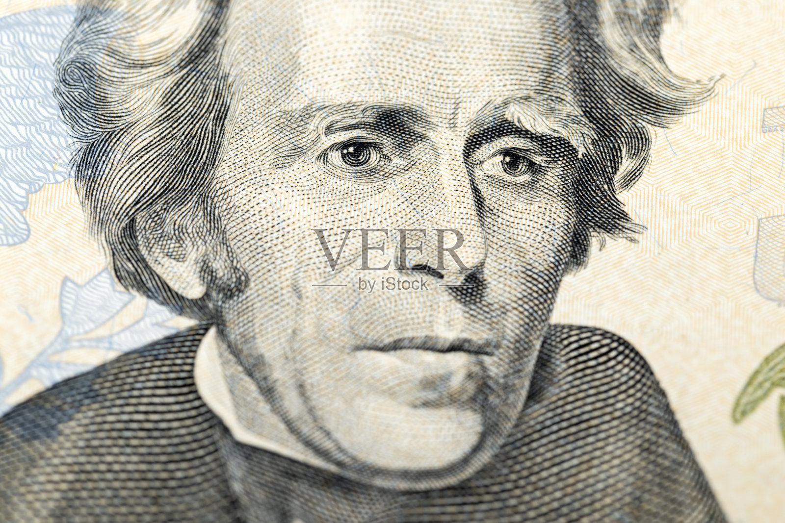 接近20美元照片摄影图片