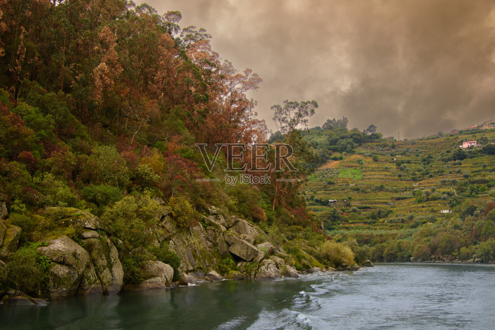 杜罗河谷照片摄影图片