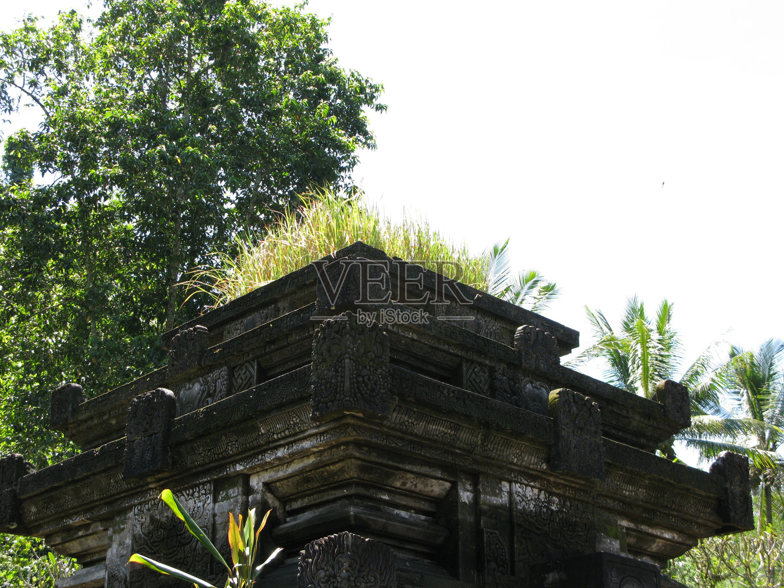 巴厘岛水神庙建筑群，提尔塔埃姆普尔，印度尼西亚照片摄影图片