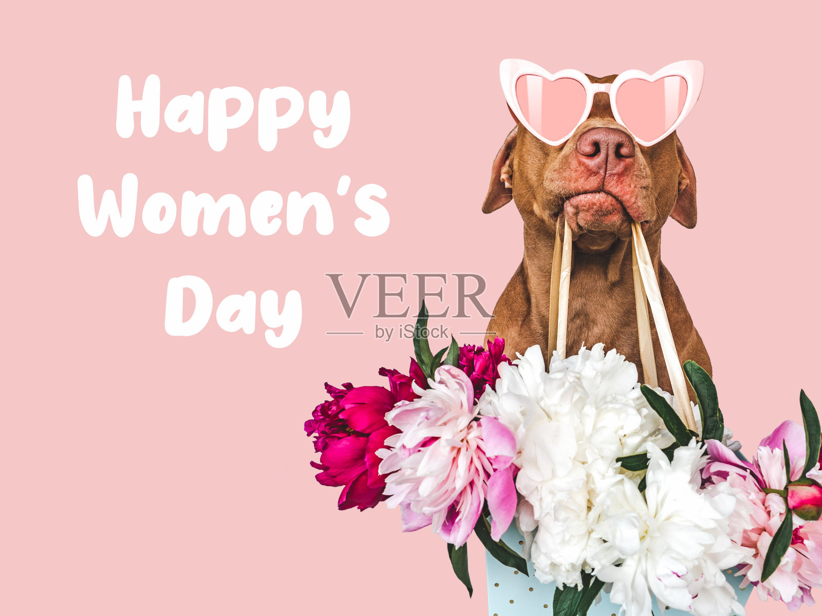 可爱的棕色小狗和一束花照片摄影图片