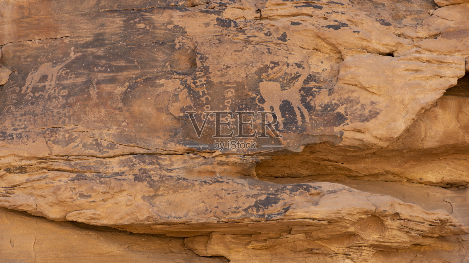 沙特阿拉伯的岩石雕刻照片摄影图片