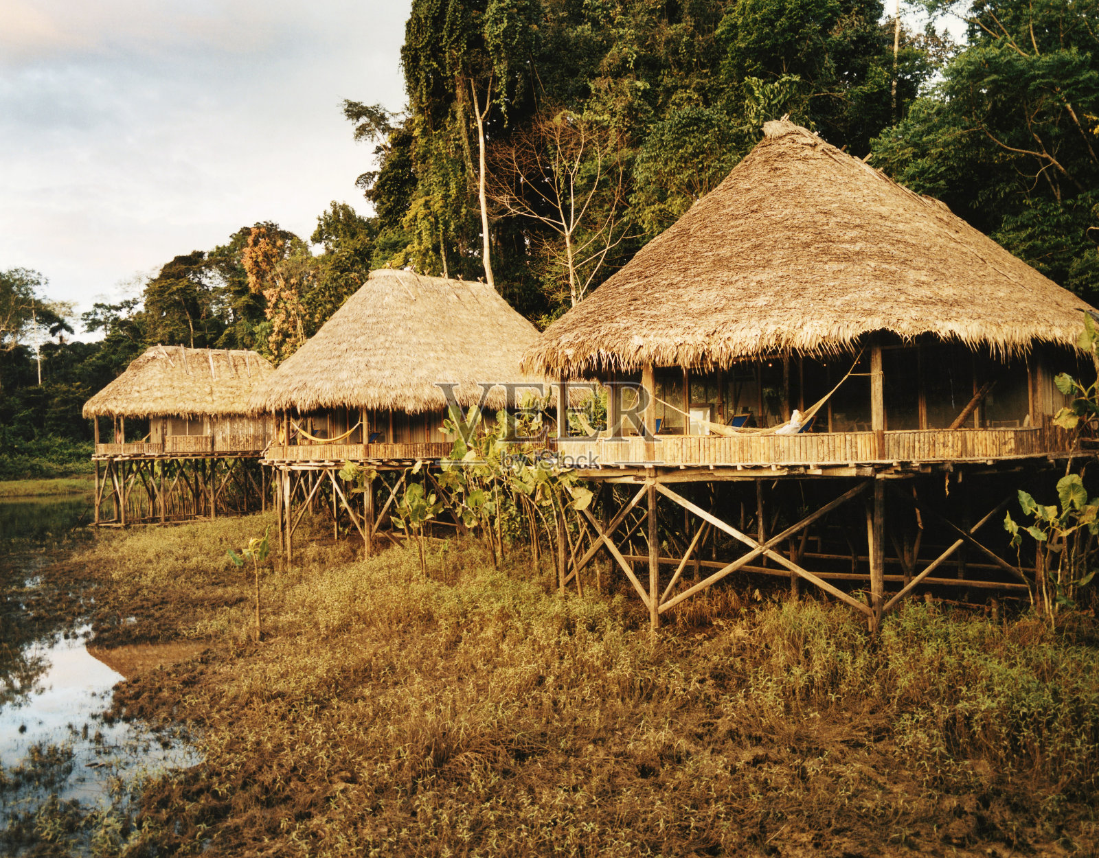 简单照片摄影图片