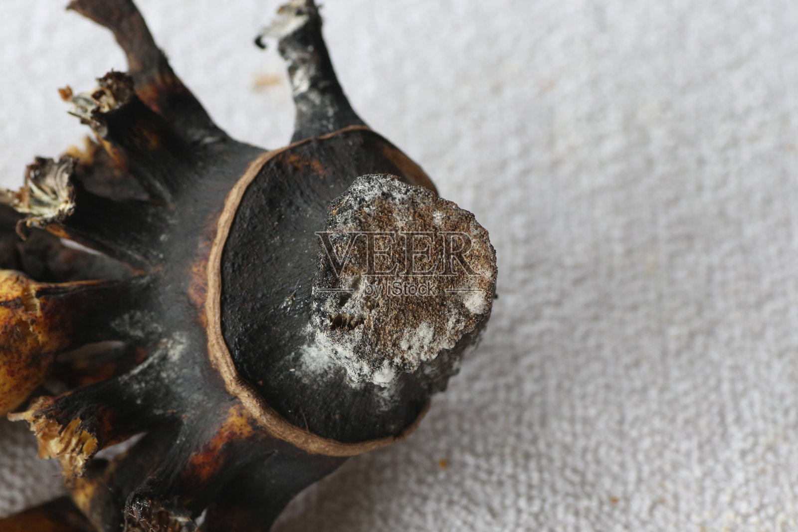 一手香蕉照片摄影图片