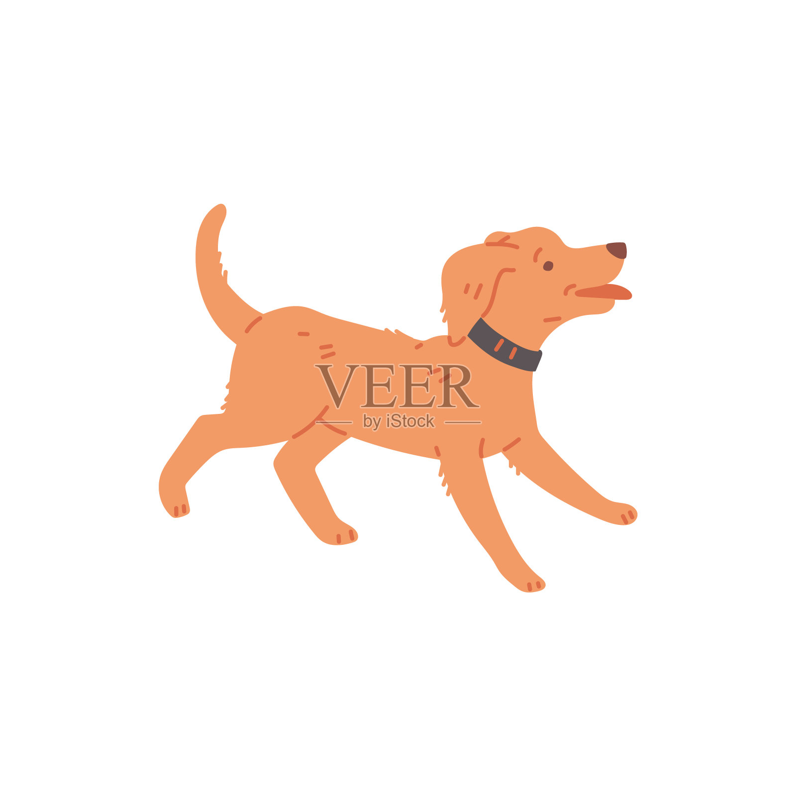 可爱的狗跑或得到放大，卡通平面矢量插图孤立在白色背景。插画图片素材