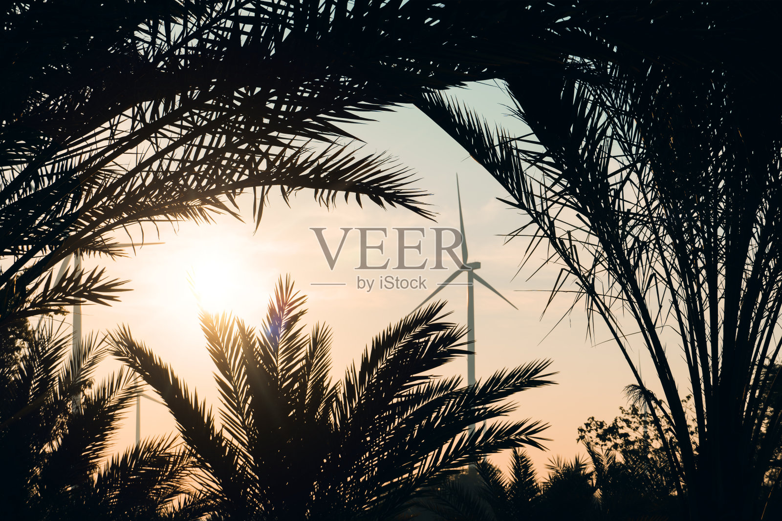 早晨的油棕种植园和风力涡轮机的剪影在农田生产清洁、环保和可持续的电力照片摄影图片