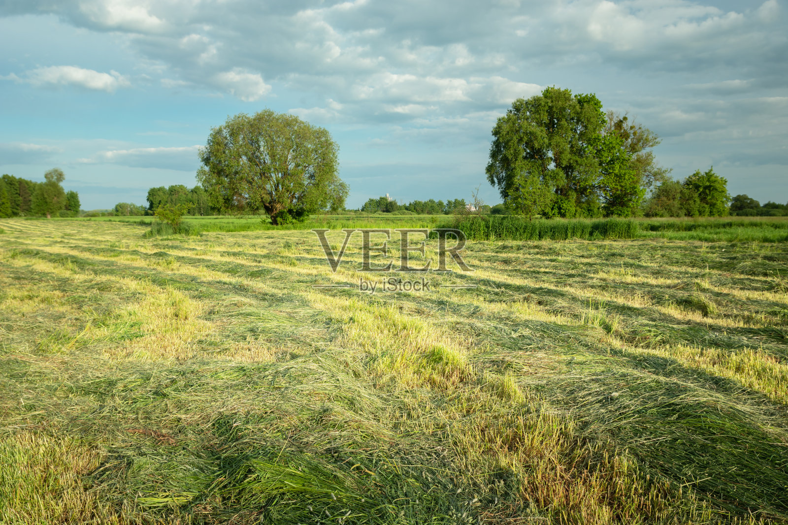 波兰诺维尼，修剪过的乡间草地和多云的天空照片摄影图片