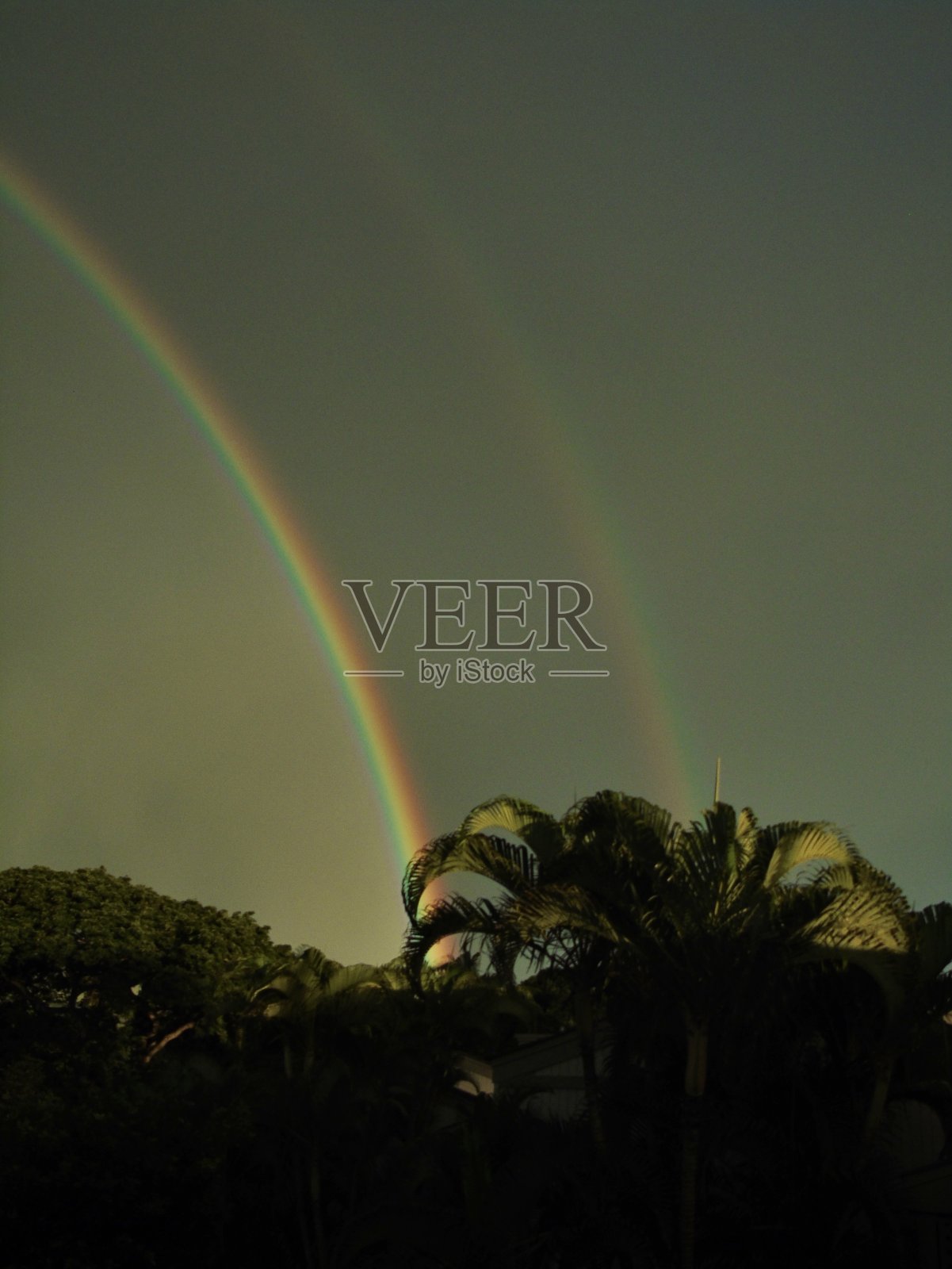 一道充满活力的彩色双彩虹照亮了夏威夷威利亚清晨的天空。照片摄影图片