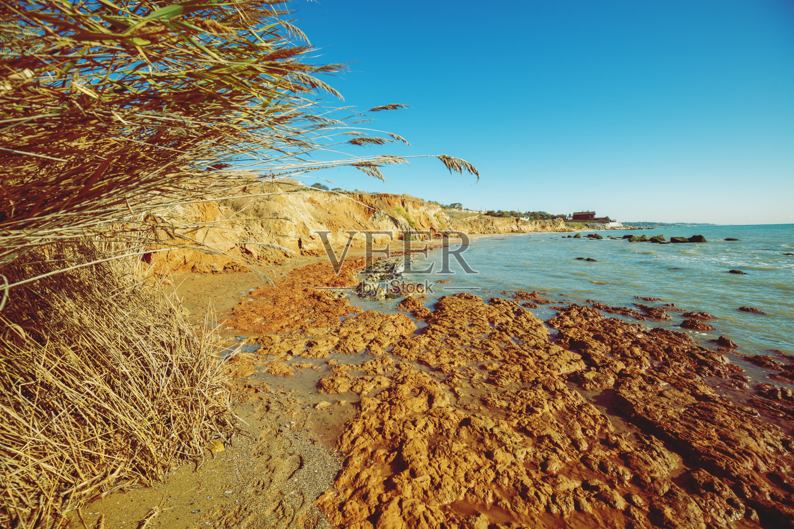 晴天的海景。粘土陡峭的海岸。夏日的海滨照片摄影图片