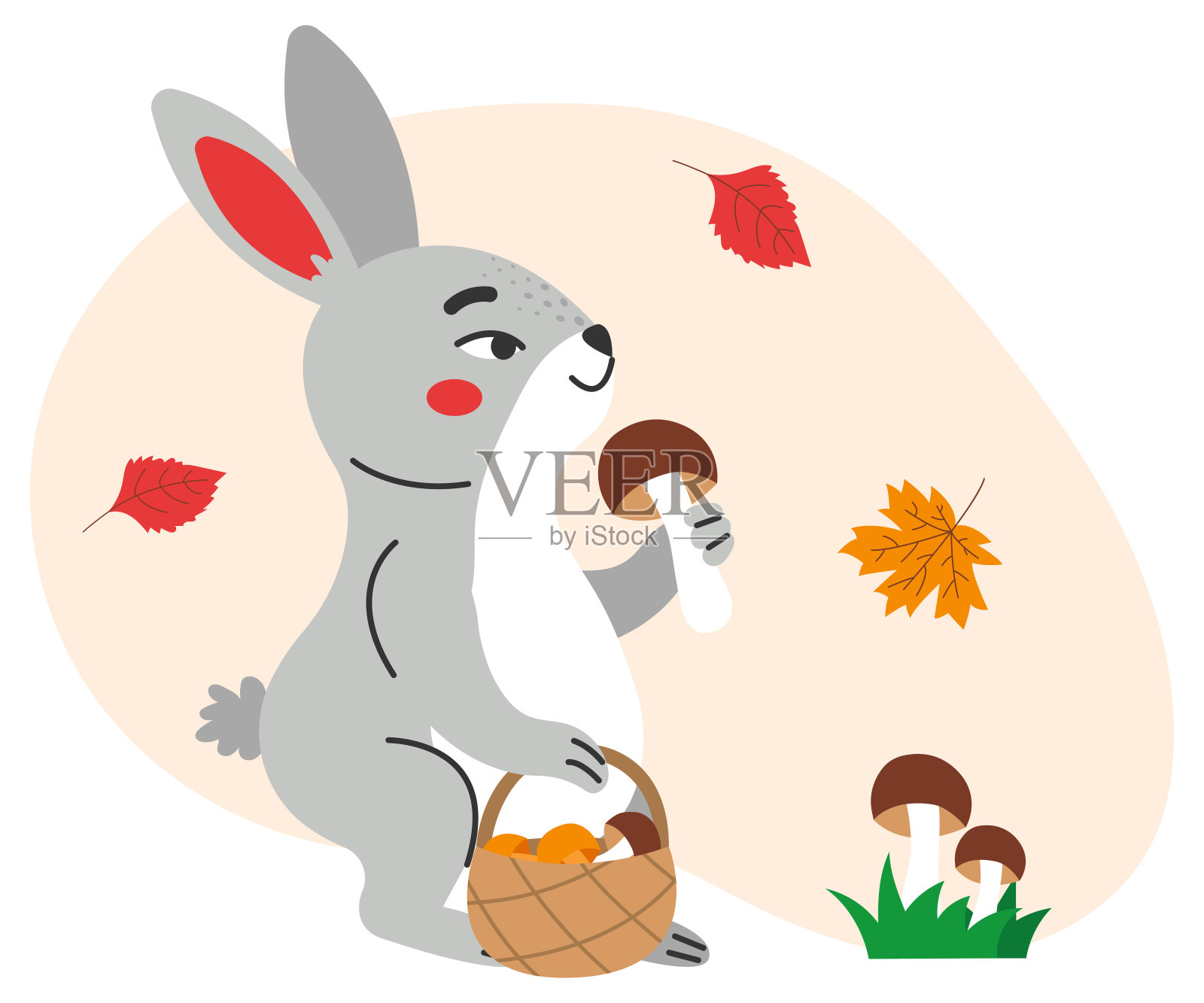 野兔正在采蘑菇。插画图片素材