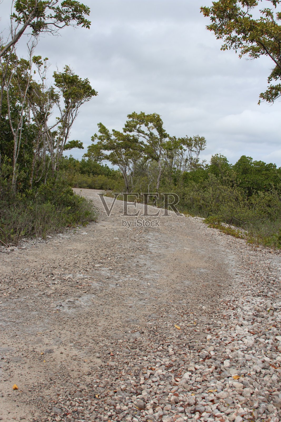 弯曲的道路照片摄影图片