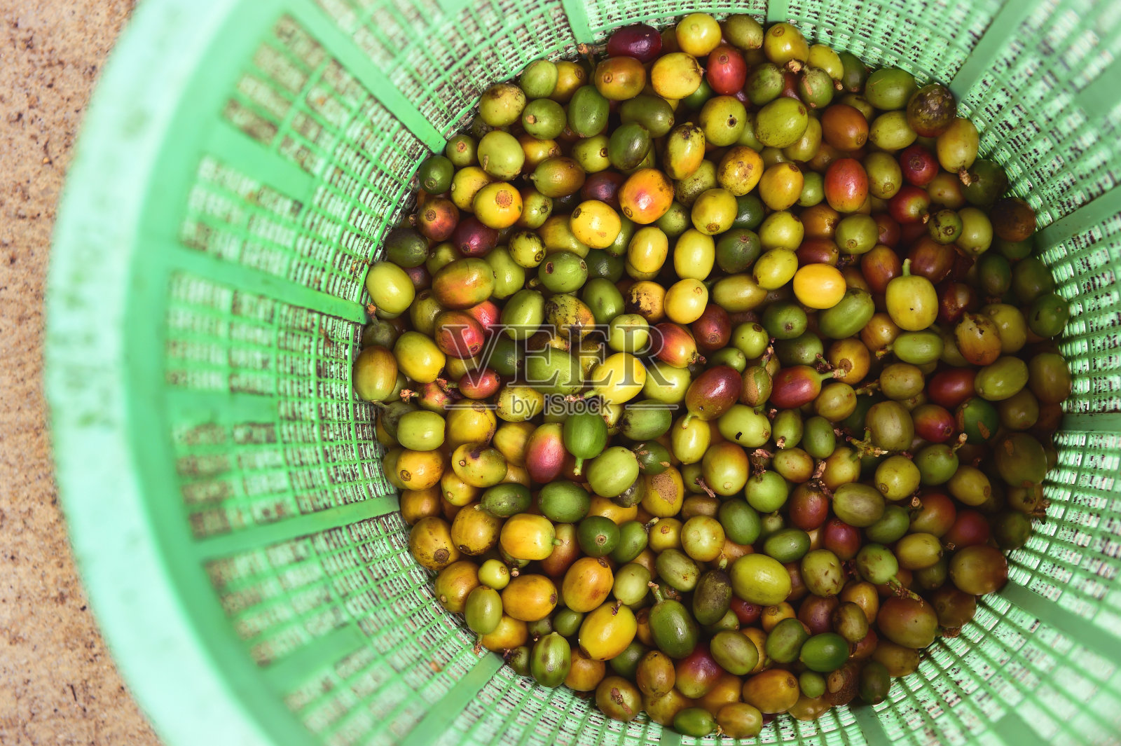 新鲜咖啡豆在篮子里照片摄影图片