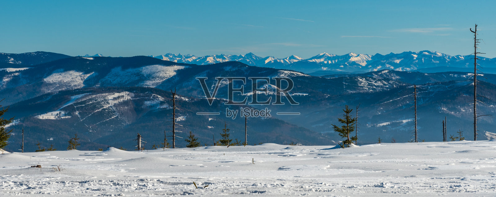 在波兰Beskid Slaski山脉的冬季，从Barania Gora山附近的Wierch Wiselka观看照片摄影图片