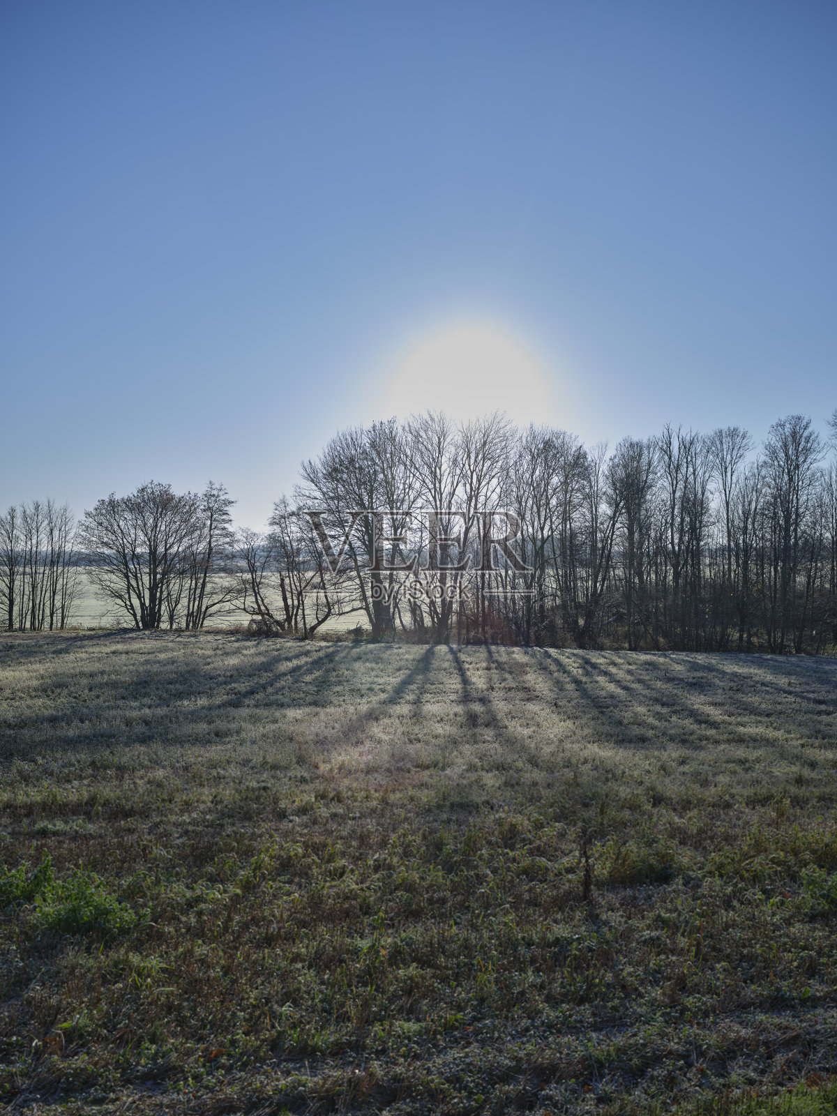冬天裹着雪和霜照片摄影图片