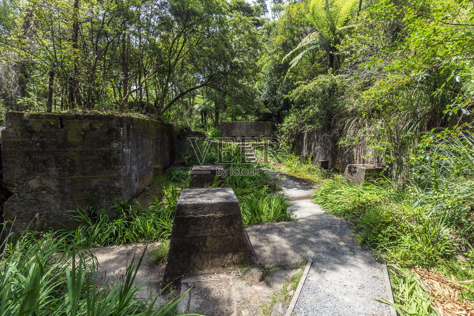 新西兰Karangahake峡谷的与淘金热有关的工业遗产遗址照片摄影图片