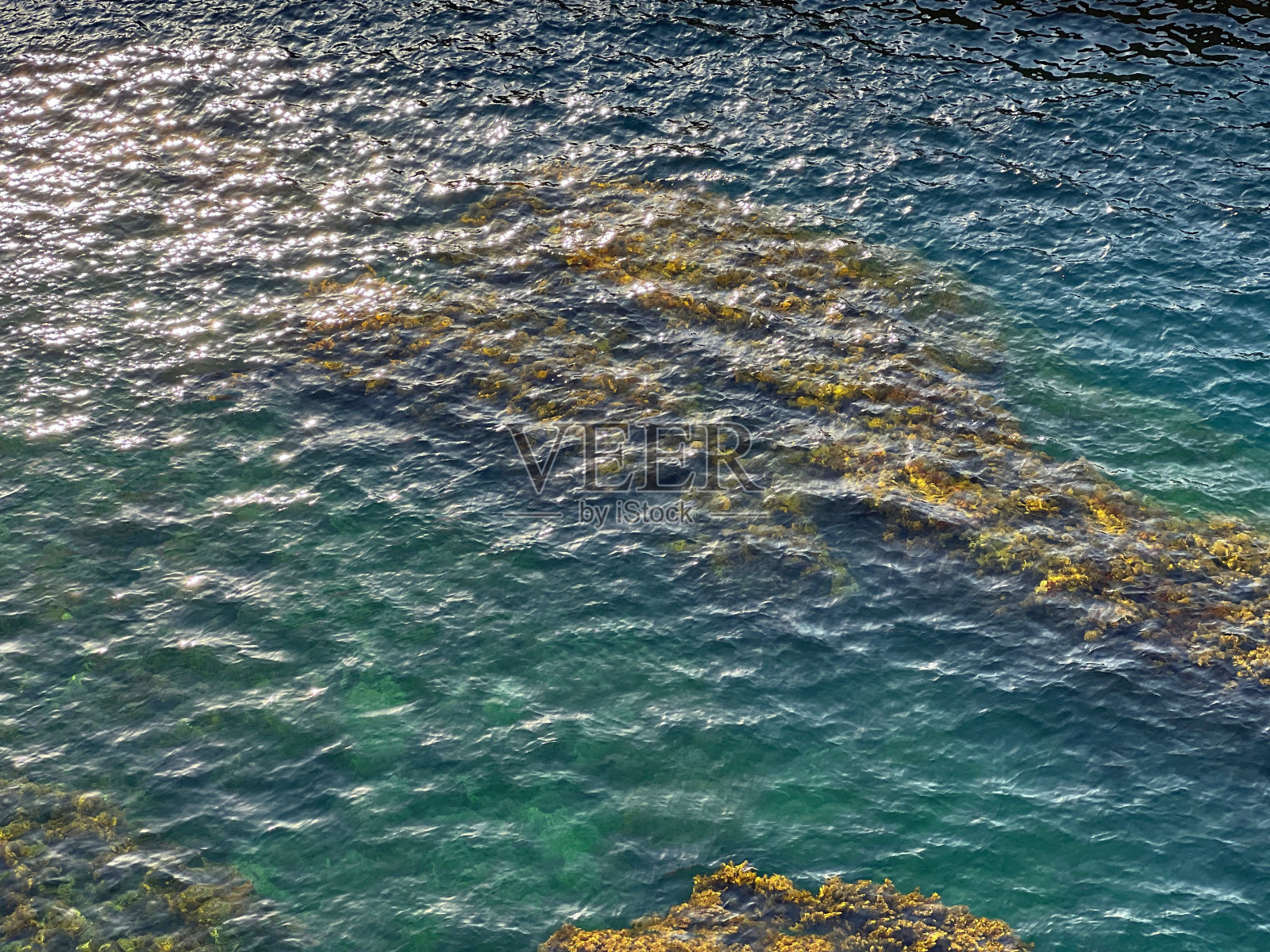 闪闪发光的海水蓝绿色与藻类，鸟瞰美丽的海景。照片摄影图片