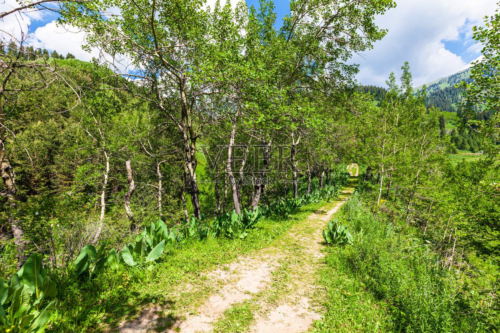 梅迪欧附近基马萨峡谷最漂亮的小巷照片摄影图片