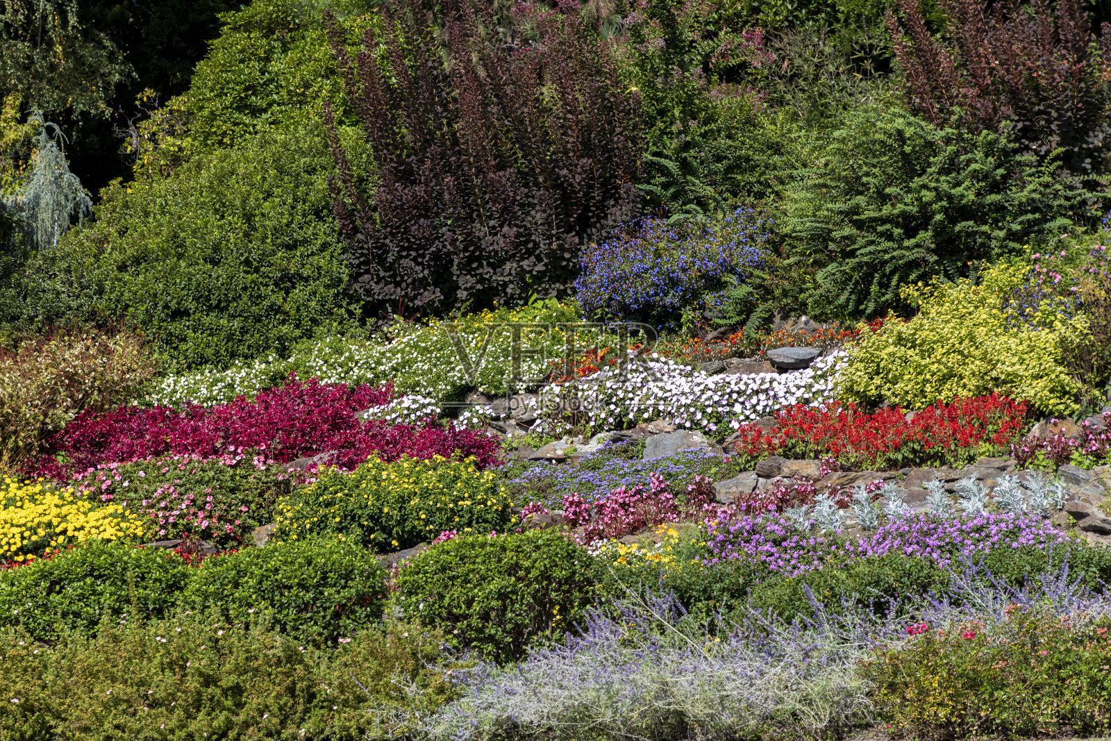 五彩缤纷的岩石花园照片摄影图片