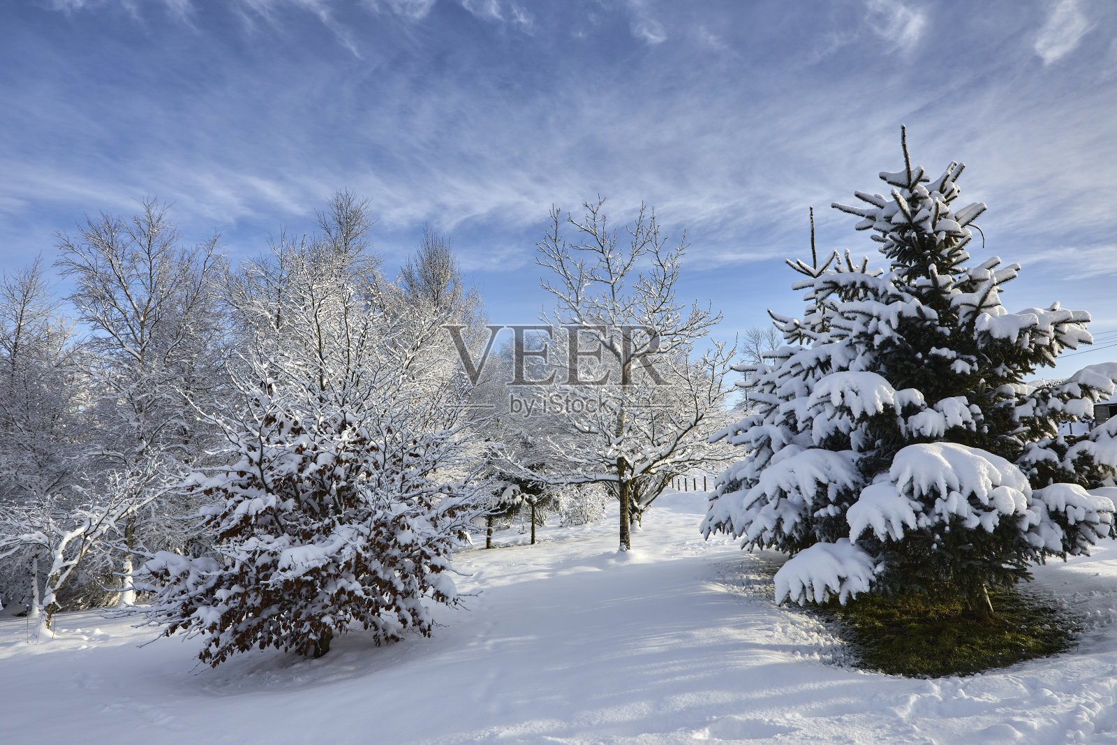 厚厚的新雪照片摄影图片