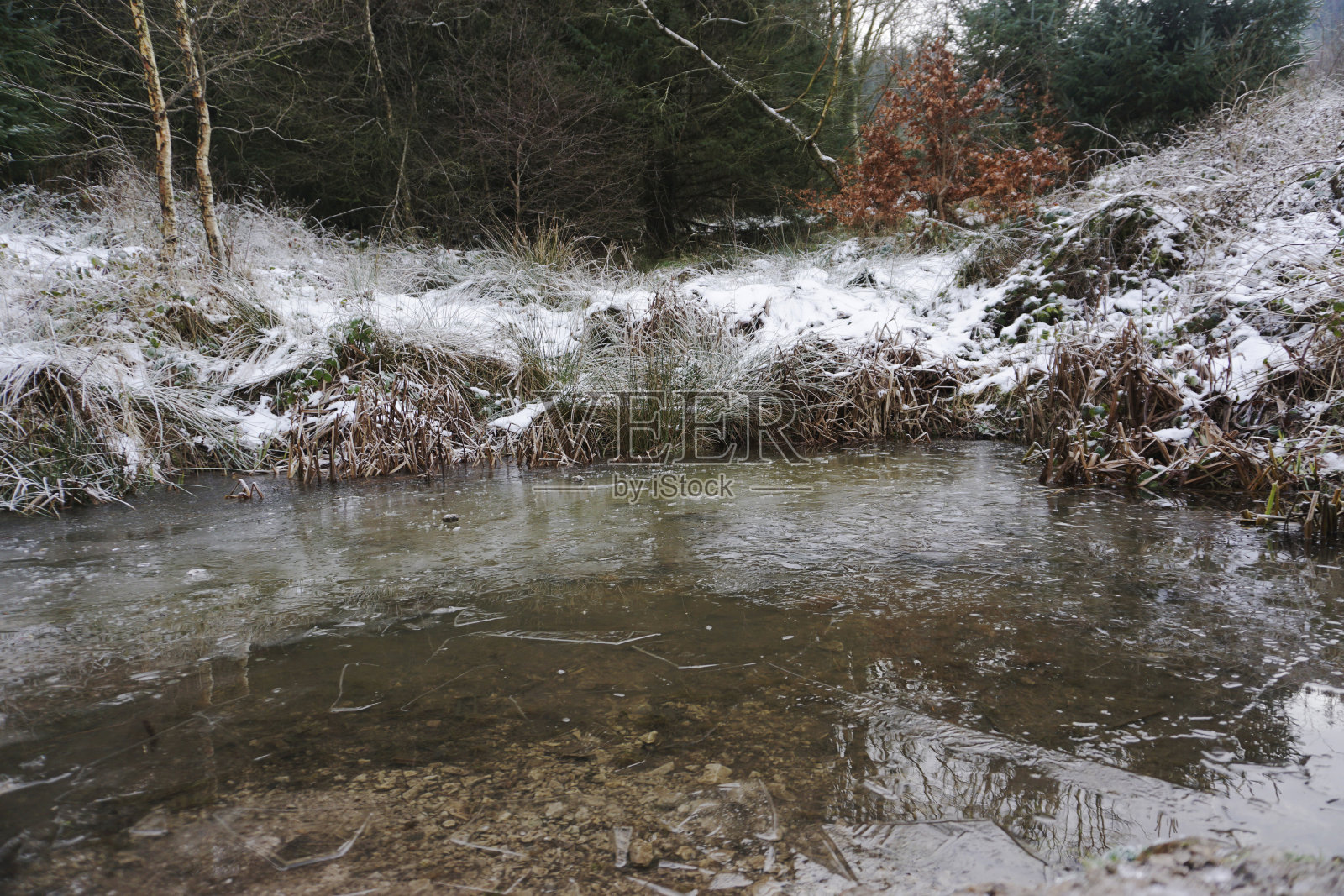 英国麦克格斯菲尔德森林冰雪覆盖的池塘照片摄影图片