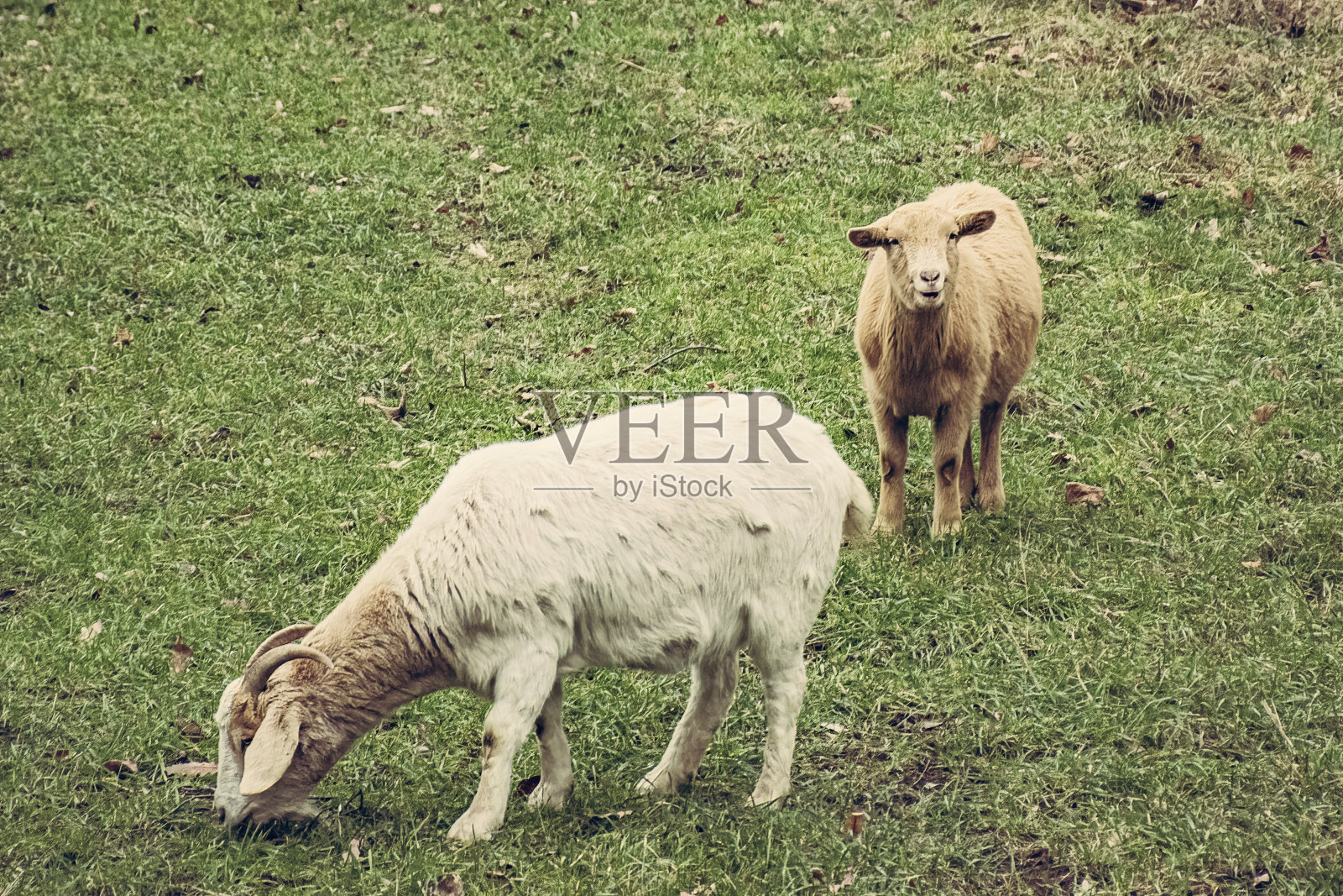 Baden-Württemberg照片摄影图片