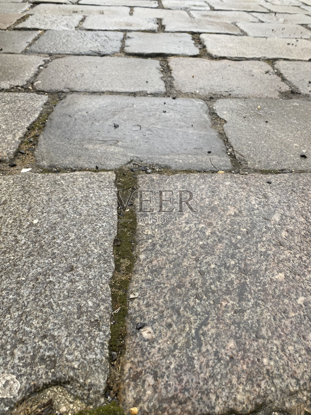 石头地板上照片摄影图片