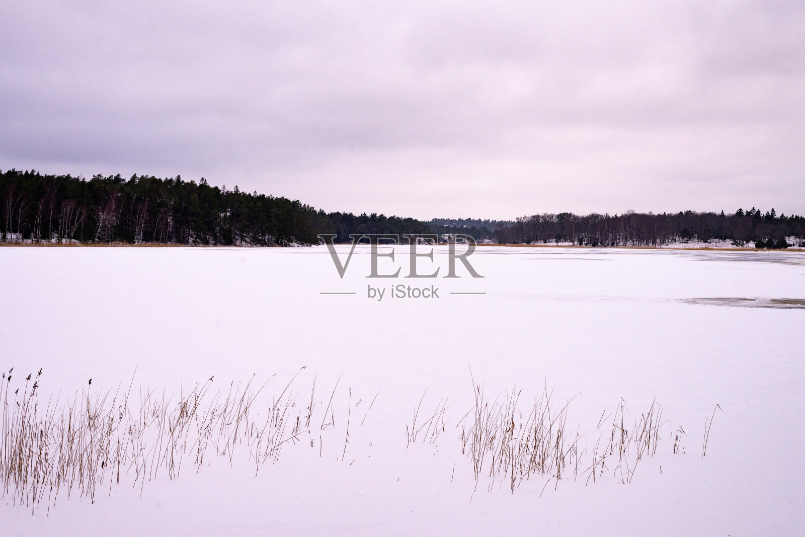 瑞典冰雪覆盖的田野照片摄影图片